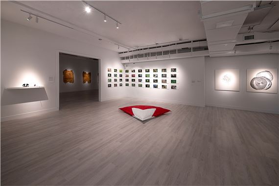 Reynier Leyva Novo & Rodolfo Peraza: Power Interfaces at Zapata Gallery
