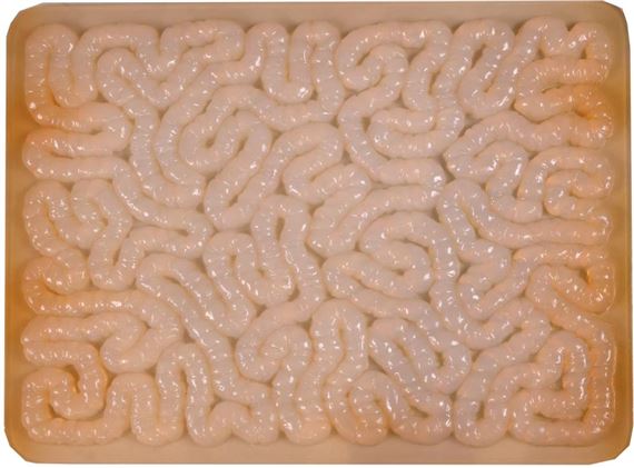 Rubber Mat by Mona Hatoum, 1996