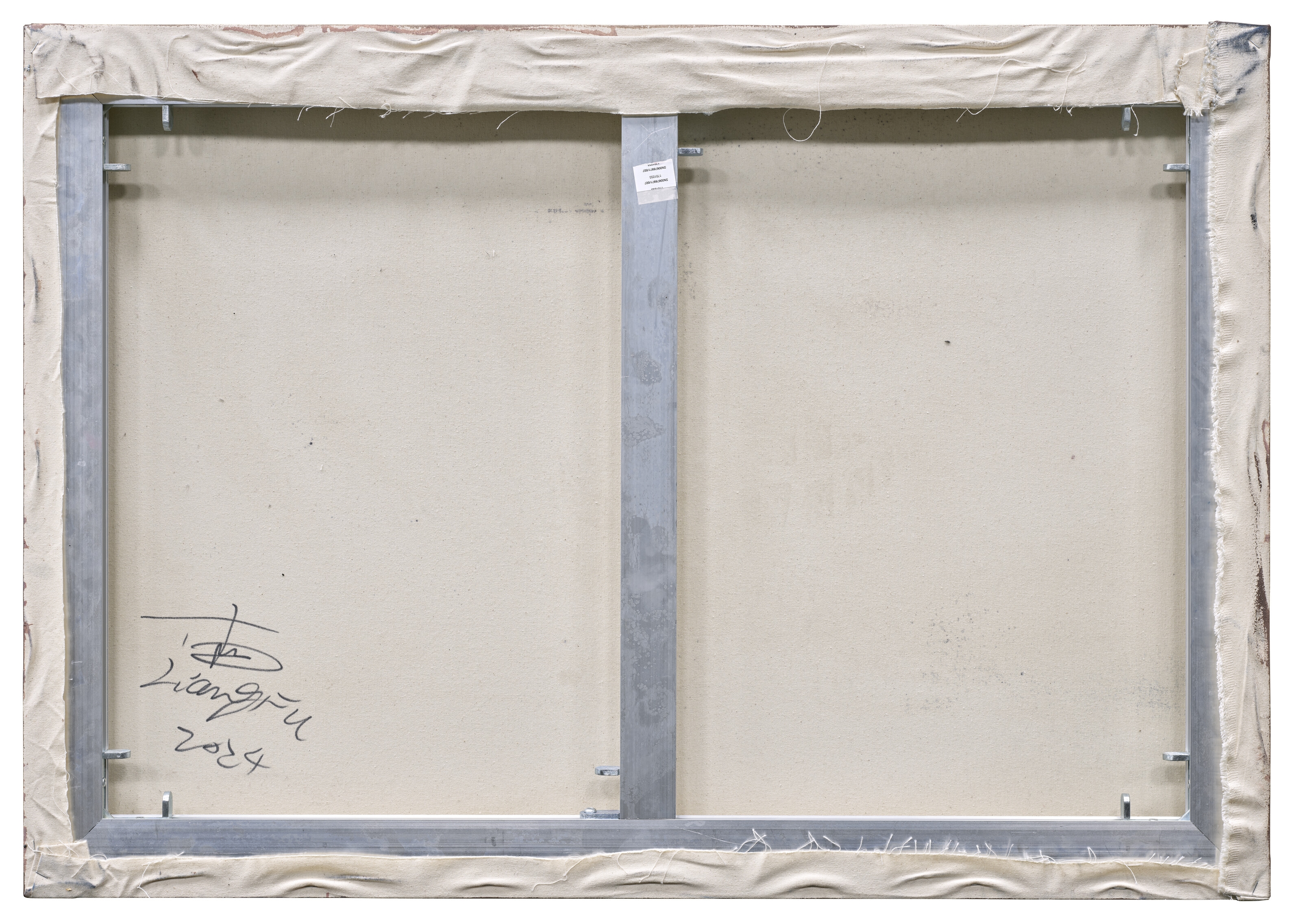 Liang Fu | I am my own unseen body and face (2024) | MutualArt