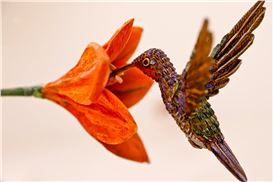 Delicately Carved Flora and Fauna by Efrain Almeida Recreate a Contemplative Brazilian Garden