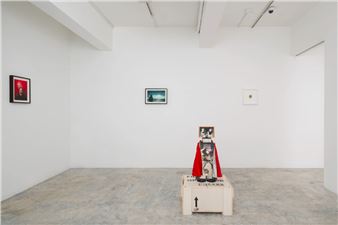 Summer Flame - Flowers, Hong Kong