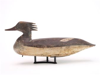 Large merganser hen - Doug Jester