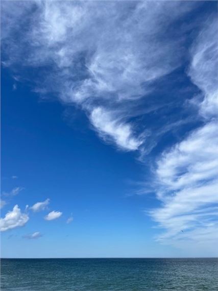 2024 Summer Group Exhibition - Peter Mendenhall Gallery