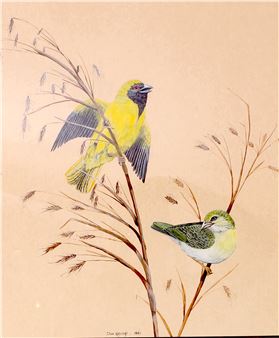 FINCHES - Clive Hopcroft