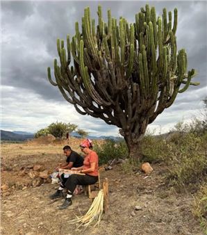 Tanya Aguiñiga and Porfirio Gutiérrez: Sangre de Nopal/Blood of the Nopal - Fowler Museum at UCLA