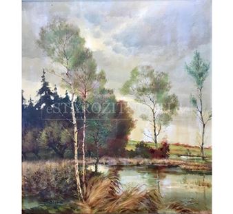 KRAJINA SE STROMY - František Šindler