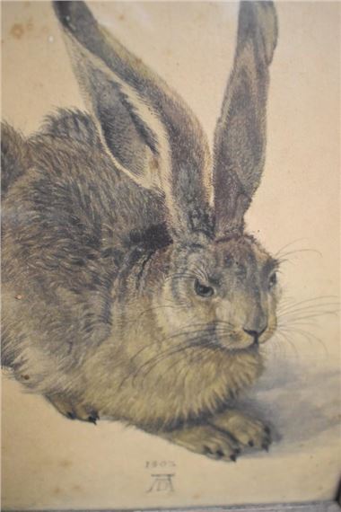 Albrecht Dürer | A small print of 'Young Hare (1502) | MutualArt