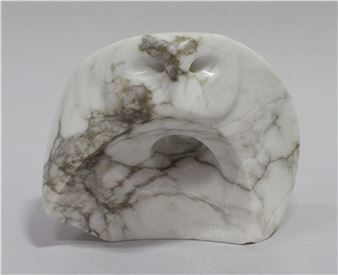 Changing Plummage - David General