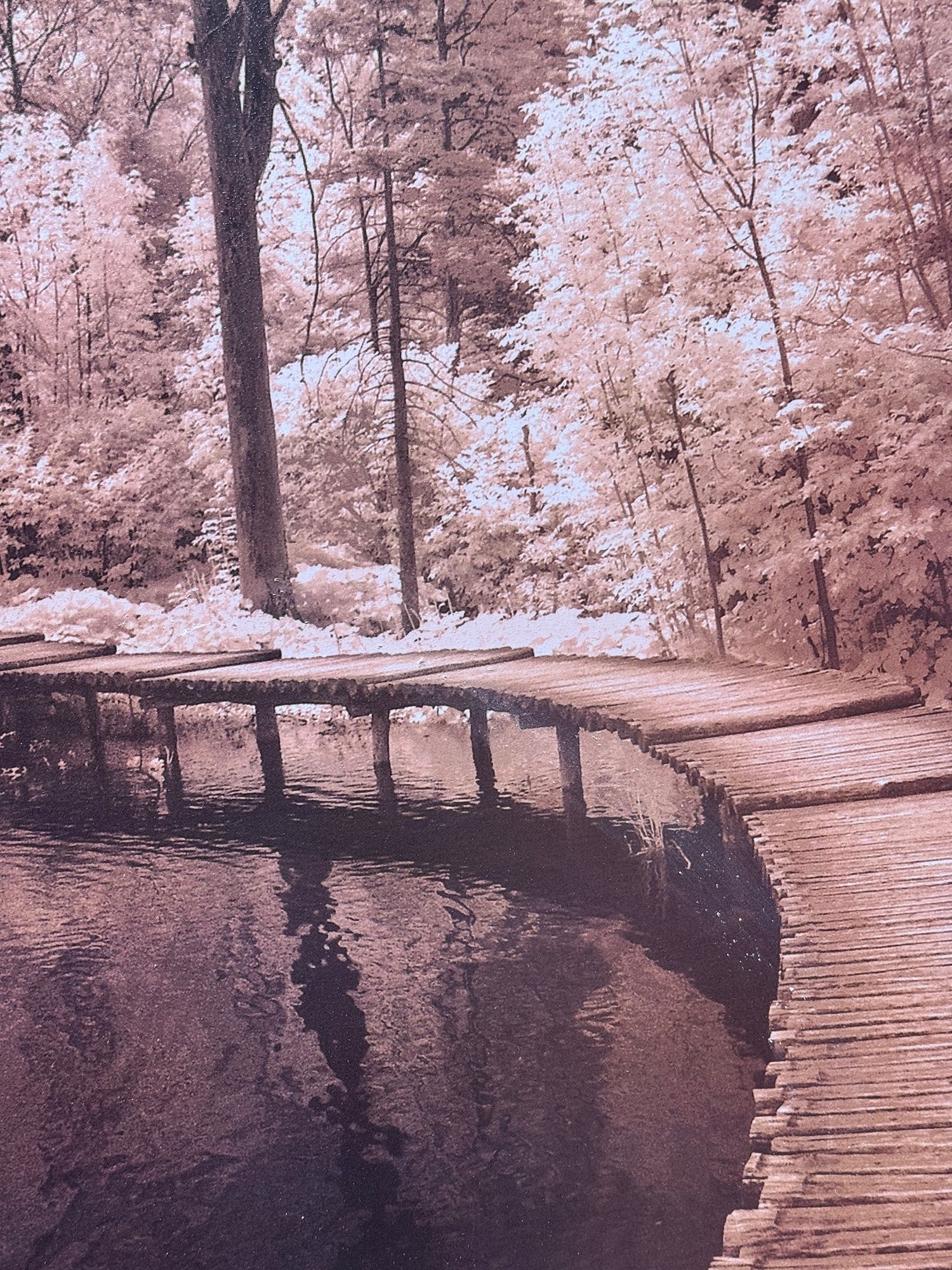 Artwork by Ily Szilagyi, Ily Szilagyi's 'Take My Lead I' Framed Print, Made of Lead