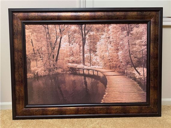 Ily Szilagyi's 'Take My Lead I' Framed Print - Ily Szilagyi