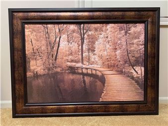 Ily Szilagyi's 'Take My Lead I' Framed Print - Ily Szilagyi