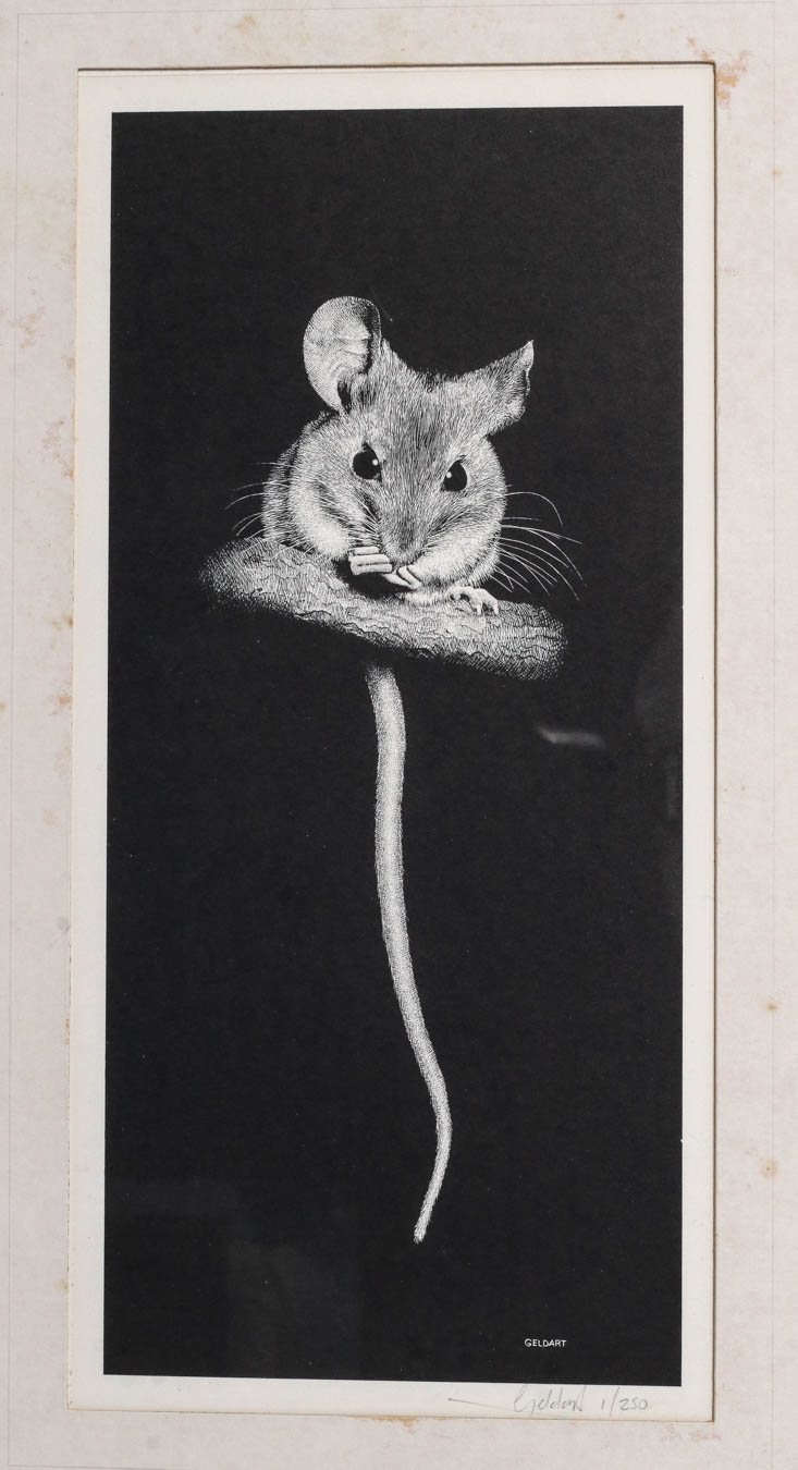 William Geldart | field mouse | MutualArt