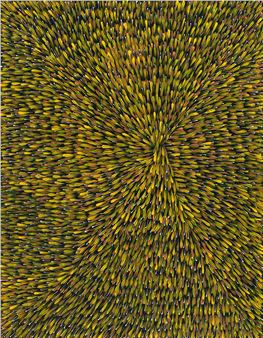 Bush Medicine - Lara Meintjes