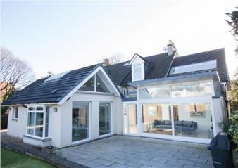 Three Rising Stars - The Lemond Gallery