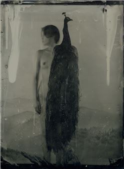 Yamamoto Masao: Living Things ≅ Still Life - Mizuma Art Gallery, Tokyo
