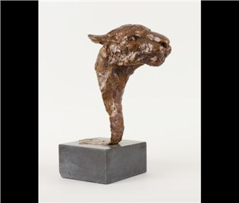 Tête de lionne - José Robert