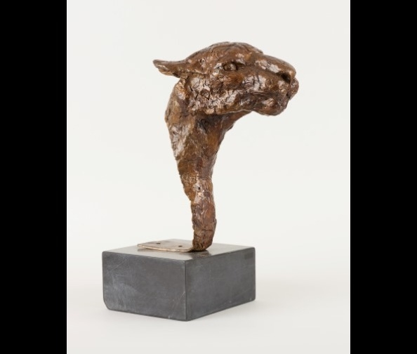 Artwork by José Robert, Tête de lionne, Made of Bronze with black patina