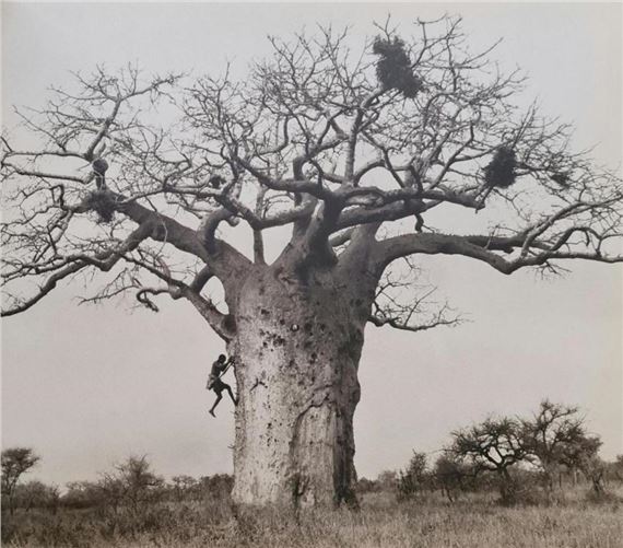 洋書 Herb Ritts / Herb Ritts Pictures Herb Ritts | Fred with Tires, Hollywood (1984) | Available