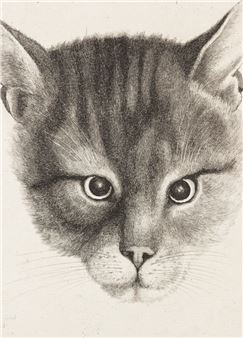 The Good Cat and the Treacherous One. Cats in Graphic Art from the 16th to the 18th Century - National Gallery Prague, Schwarzenberg Palace