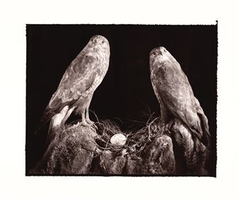 Elizabeth Zeschin & Christopher Marvell - Zimmer Stewart Gallery