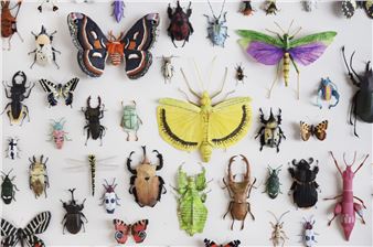 Kate Kato: Outnumbered - Hub Sleaford