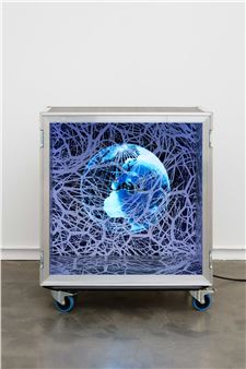 Peter Kogler - Galerie Mitterrand, Temple