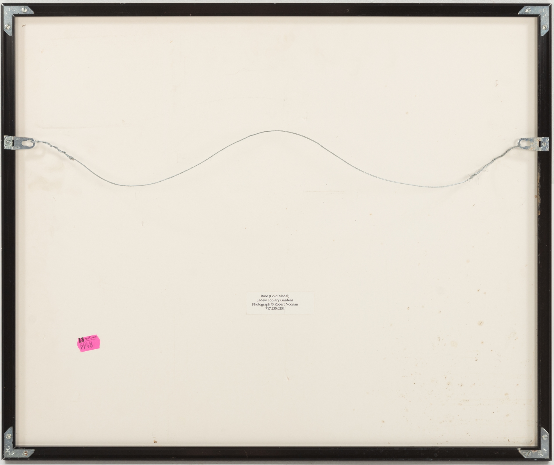 Artwork by Robert Noonan, Rose (Gold Medal, Made of photograph, Color photograph