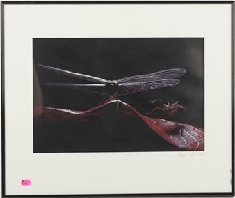 photograph - Robert Noonan