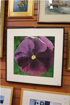 PURPLE PANSY - Karin Helmich