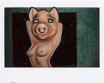 Roger Ballen: Tales of Wonder - Cámara Oscura
