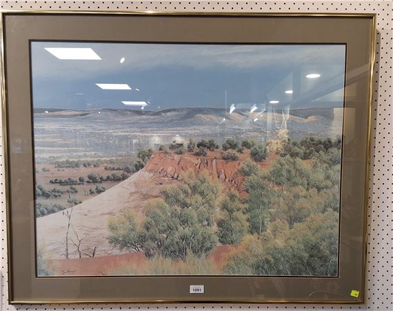 David Dryden | Nockatunga, Queensland | MutualArt