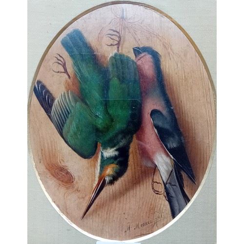 L'oeil of Kingfisher and Finch by Michelangelo Meucci