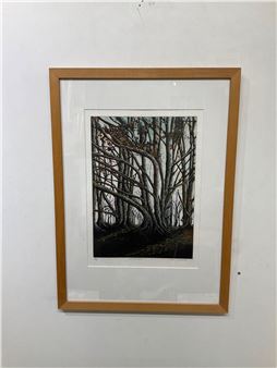 morning light - Nickie Hayden