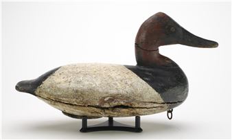Canvasback - William Heverin