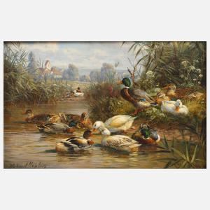 Enten am Teich by Hubert Kaplan, 2. Hälfte 20. Jh