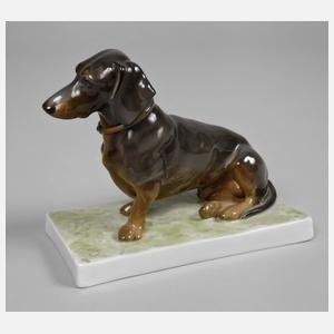 Artwork by Oskar Pflug, Dackel auf Sockel, Made of naturalistische Ausformung und Unterglasurbemalung