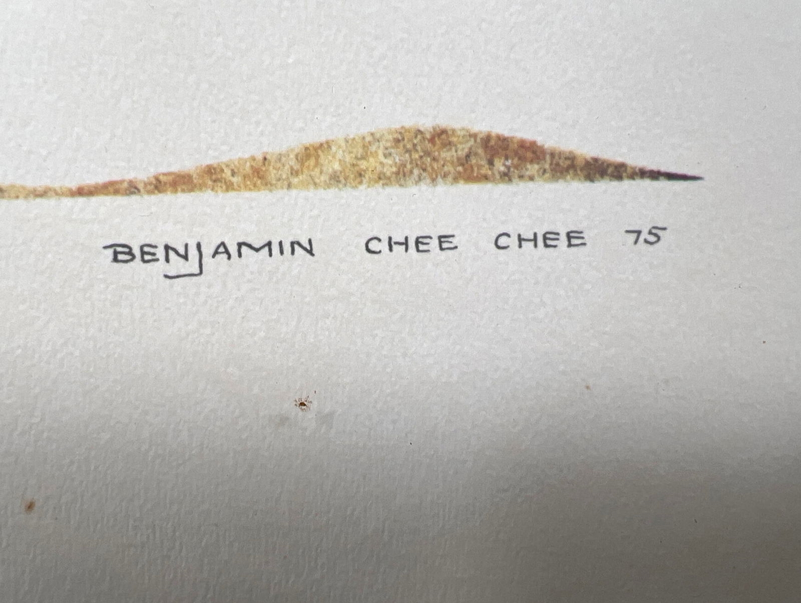 Benjamin Chee Chee | Benjamin Chee Chee 75 Abstract Print of Goose ...