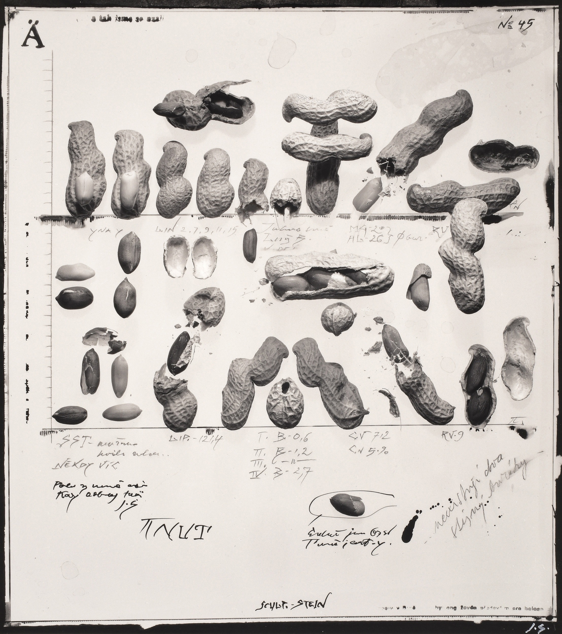 Artwork by Jiří Stach, Bez názvu, 1991, Made of vintage gelatin silver print