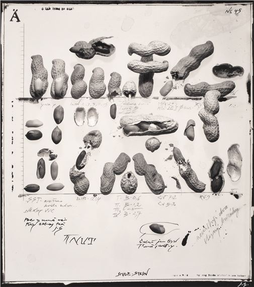 Bez názvu, 1991 by Jiří Stach, 1991