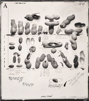 Bez názvu, 1991 - Jiří Stach