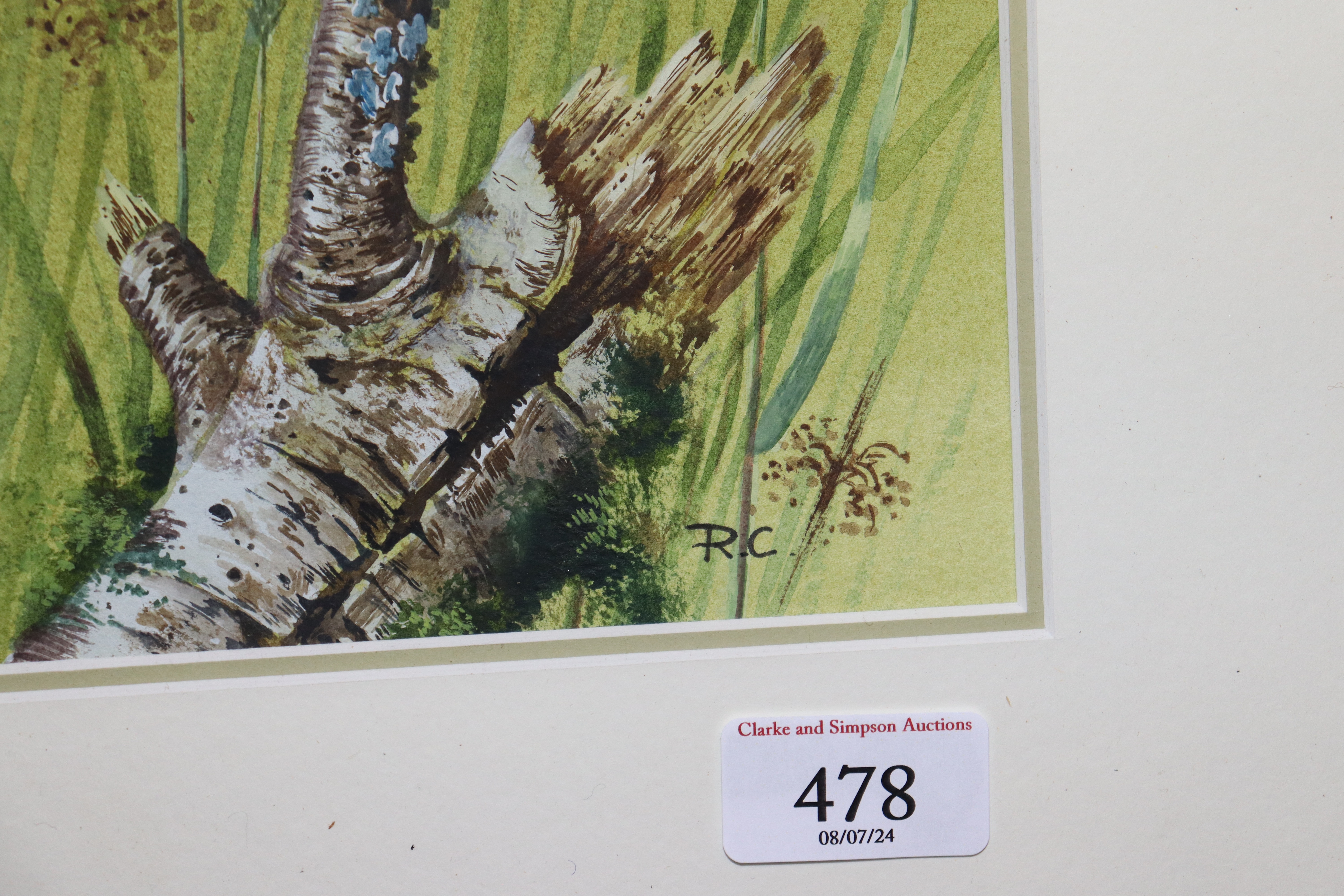 Richard Cook | watercolour study of a kingfisher | MutualArt