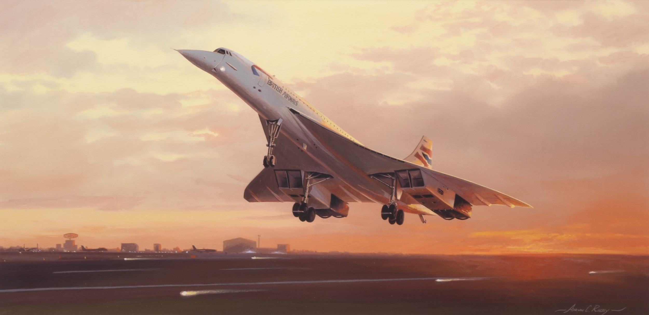 Adrian Rigby | Flying Into History | MutualArt