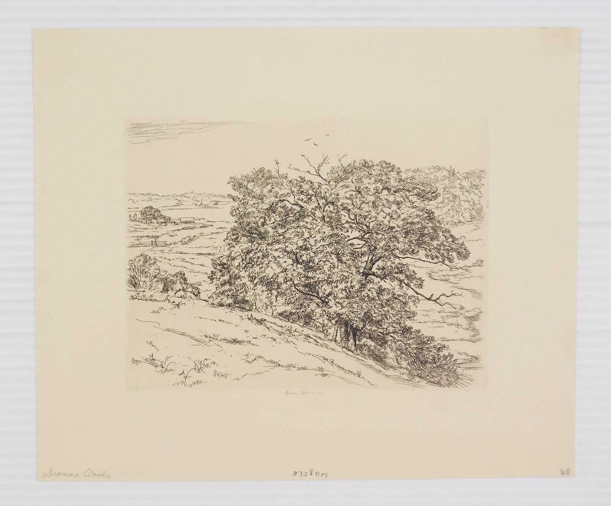 Ernest Haskell | Landscapes | MutualArt