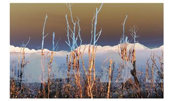 Aspen Art Museum Showcases 45th Anniversary Edition of Aspen Art Week