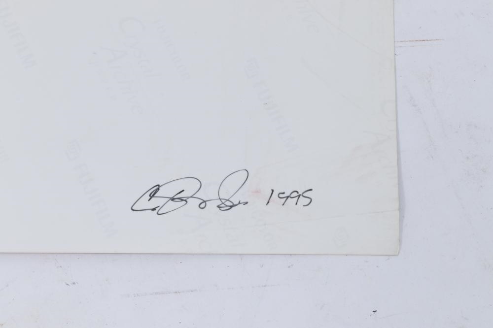 Artwork by Carl Pope, Madonna, 2002 / male partial nude, 1995, Made of color prints