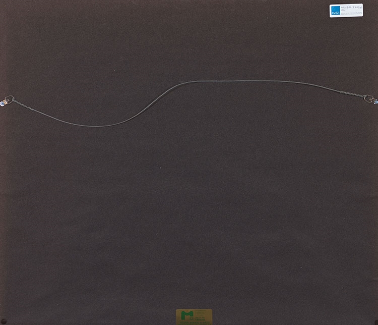 Artwork by Kenojuak Ashevak, Complex of Birds, Made of stonecut on paper