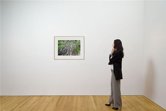 Gordon Appelbe Smith | Tangle | MutualArt