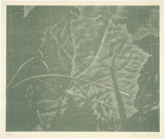 Pestwurz Vorzugsausgabe des Buchs "Franz Gertsch. Holzschnitte. Die Kunst liegt in der Natur. Wer sie herausreissen kann der hat sie by Franz Gertsch, 1994