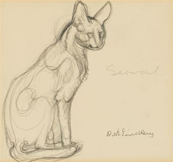 Serval - Dick Findlay