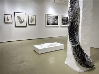 Back and Forth, Between Names - Ann Street Gallery